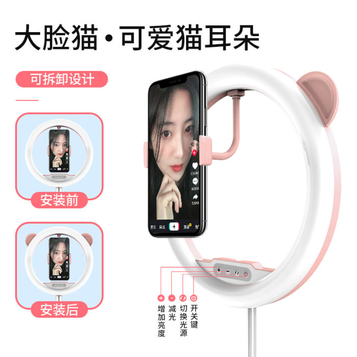 NVV NS-16粉 手机直播支架桌面落地通用26cm美颜补光灯户外主播网红抖音快手自拍摄影拍照录视频设备折叠便携