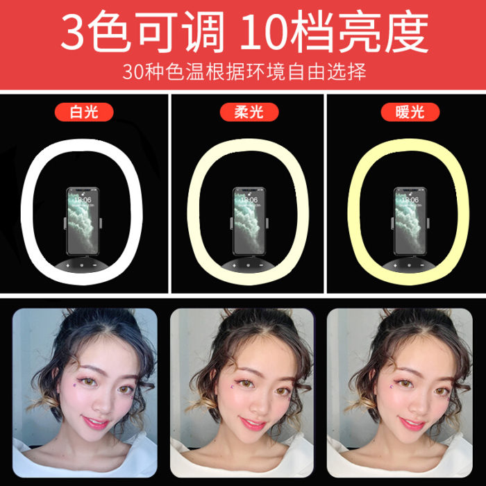 NVV NS-17白色 手机直播支架桌面落地通用33cm美颜补光灯户外主播网红抖音快手自拍摄影拍照录视频折叠大白鹅