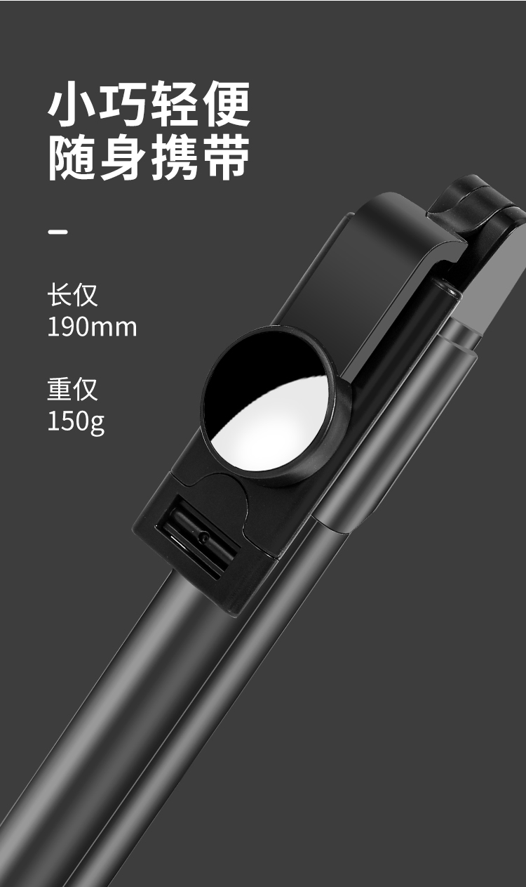 NS-2L_05